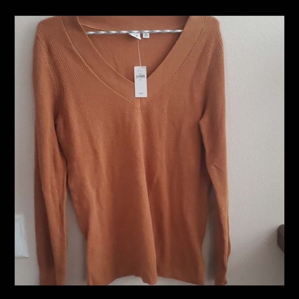 Gap NWT V neck sweater